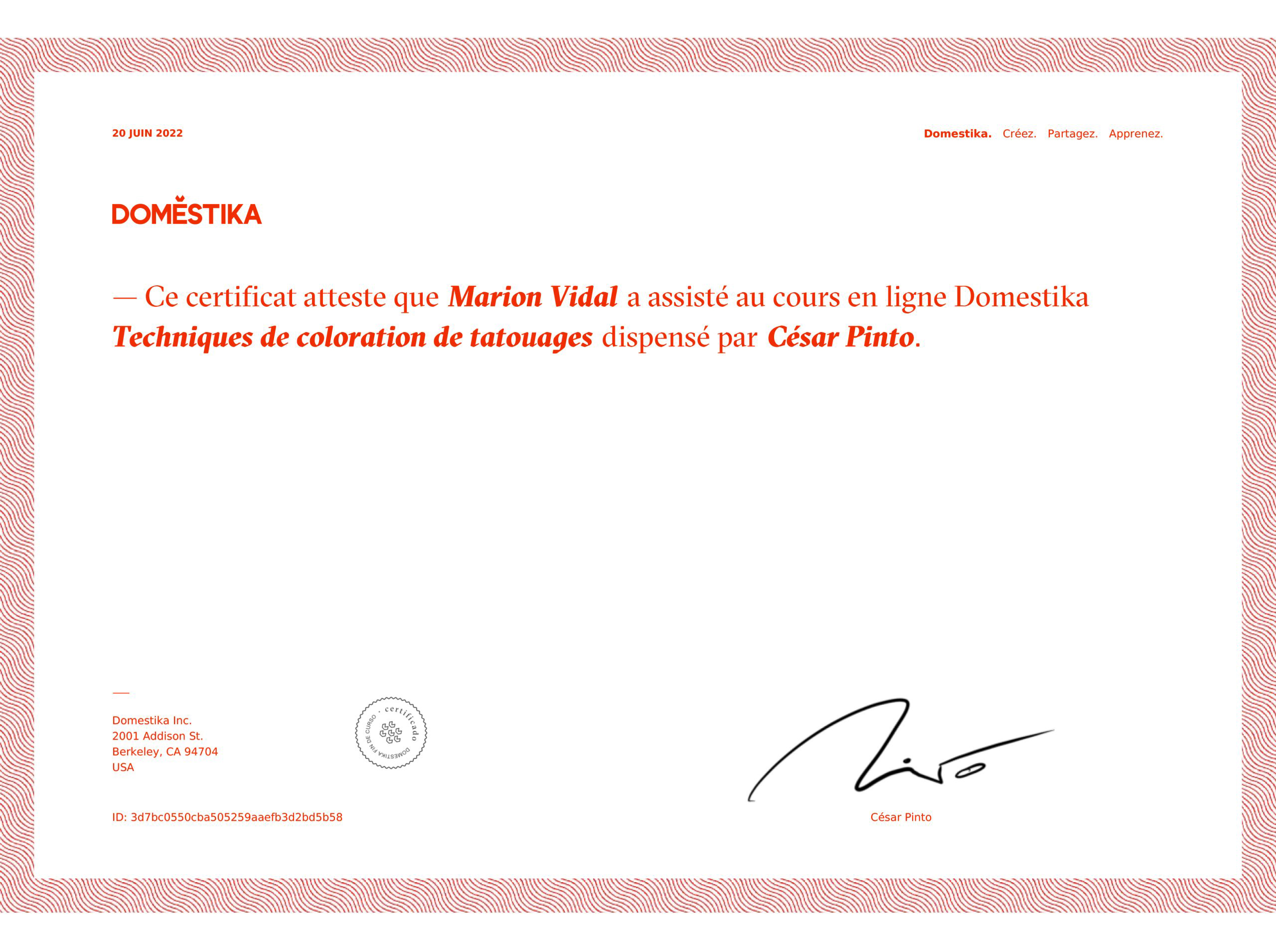 certificat-tatouage-technique-coloration